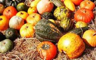 Как сделать посуду и сувениры из лагенарии