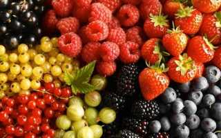 Что такое сорт самобесплодный. Что означает сорт самобесплодный?