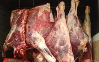 Убойный выход и качество мяса КРС