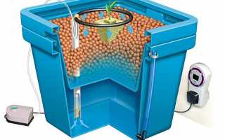 Как вырастить лук в гидропонной системе