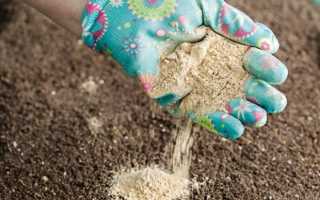 Способы применения доломитовой муки: дозировки и инструкция