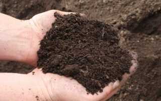 Суглинок или супесь. Как определить механический состав грунта на участке