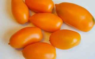 Томат Чухлома — красивый, вкусный и урожайный сорт