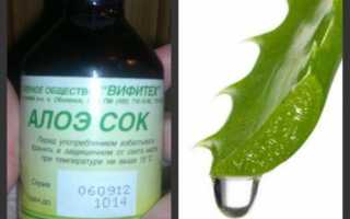 Описание сорта томата Южный загар: урожайность и особенности выращивания