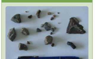 Сенаж. Технология приготовления высокопитательных кормов