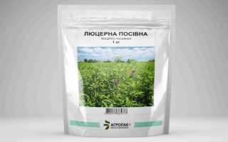 Люцерна как сидерат. Как использовать с максимальной пользой.