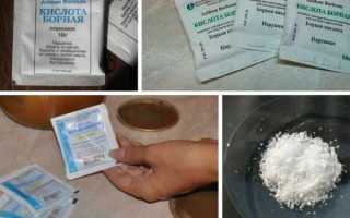 Борная кислота – использование борной подкормки для растений