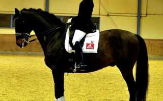 Огурец «Доломит f1»: преимущества и недостатки гибрида