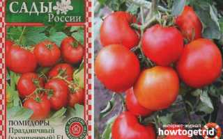 Характеристика и описание томата «Любимый праздник»