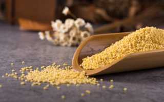 Кукурузная каша: первый прикорм для грудничка