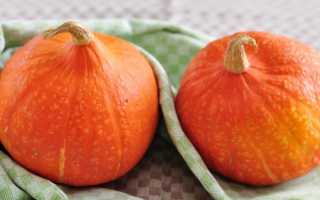 Тыква Хоккайдо: описание сорта, фото, отзывы