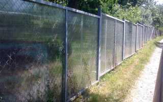 Растения для изгороди: как защитить участок от ветра