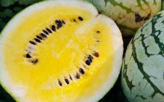 Арбуз с желтой мякотью – приживется ли заморский гость на огороде?