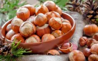 Орехи фундук: польза и вред для организма