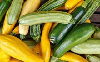 Калорийность вареного кабачка