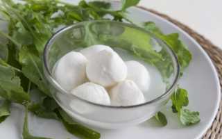 Как выглядит сыр моцарелла, разновидности сорта и полезные качества