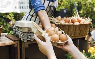 При какой температуре хранятся яйца по санпину
