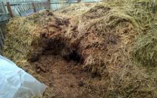 Когда разбрасывать навоз осенью или весной. Виды навоза