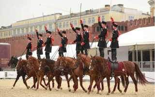 ПЛЮСЫ И МИНУСЫ НАЧАЛА ЗАНЯТИЙ КОННЫМ СПОРТОМ ИЛИ ВЕРХОВОЙ ЕЗДОЙ ДЛЯ ДЕТЕЙ В РАЗНОМ ВОЗРАСТЕ.
