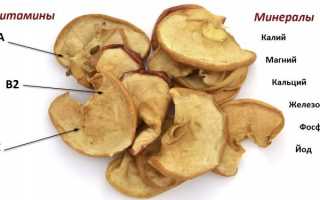 Полезные свойства сушеных яблок: состав, заготовка, хранение