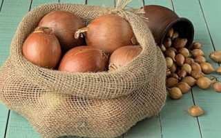 Сорт лука Геркулес: описание и советы по выращиванию