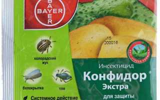 Инструкция по применению Конфидора для комнатных растений