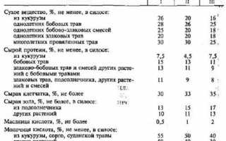 Разработка механизированной технологии заготовки прессованного в рулонах сена