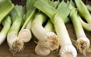 Как правильно хранить чеснок в домашних условиях зимой