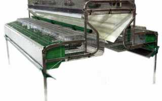 Клетки для кроликов своими руками: все размеры и чертежи