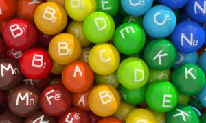 Где собирать грибы опаснее всего: советы российского биолога