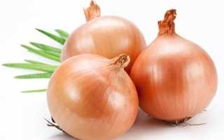 Обработка лука перед посадкой солью и марганцовкой