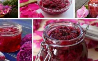 Рецепт варенья из розовых лепестков и его полезные свойства