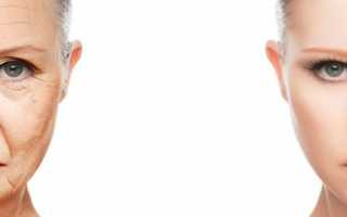 Первая ягода. Чем полезна жимолость и что из нее готовить