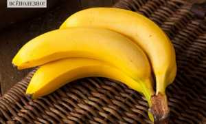 Польза и вред бананов для мужчин