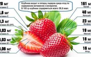 Клубника Капри: описание сорта, фото, отзывы