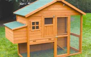 Курятник для дачи — инструкции по постройке и фото описание как изготовить на даче дом для кур