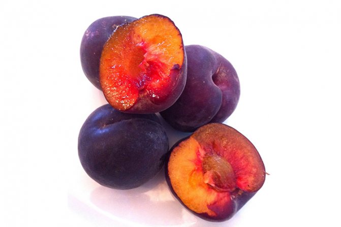 Абрикос Черный Бархат - плоды