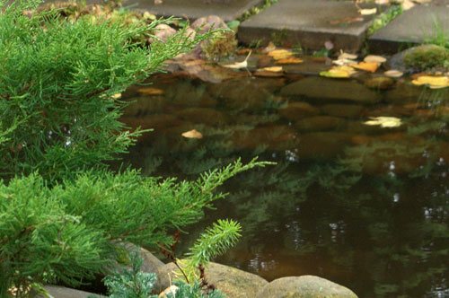 Декоративный пруд