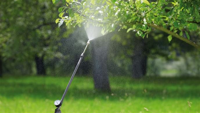 Гранулированное водорастворимое удобрение карбамид позволяет очень эффективно бороться со многими растительными паразитами