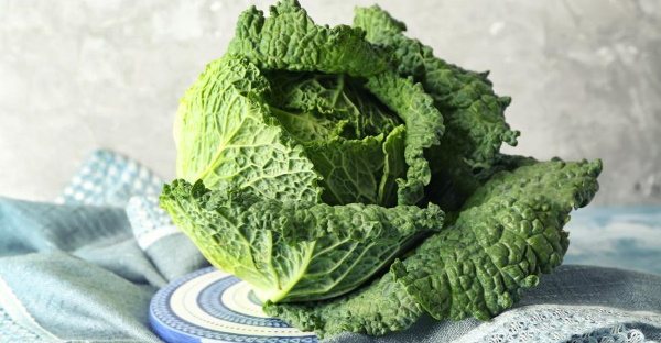 Капуста (виды, сорта). Фото с названиями, описание, характеристики