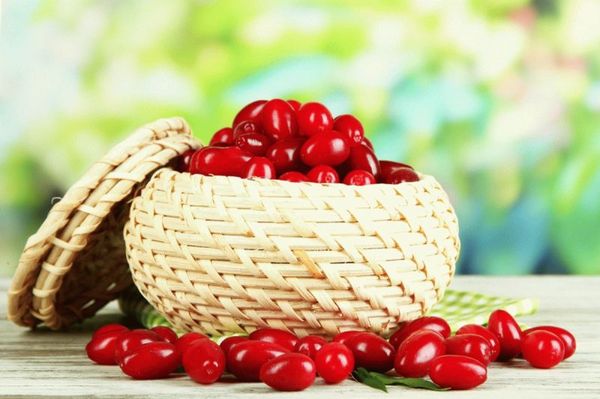 Кизил: полезные свойства и противопоказания