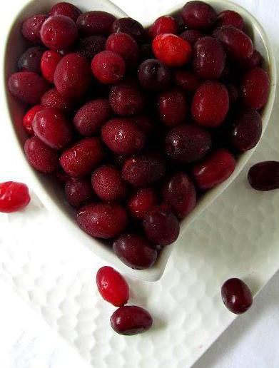 кизил полезные свойства косточки как употреблять