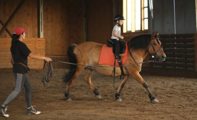 Конный спорт для детей