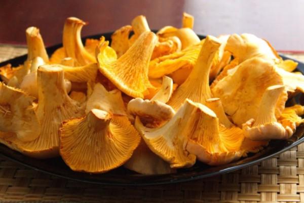 лисички в тарелке