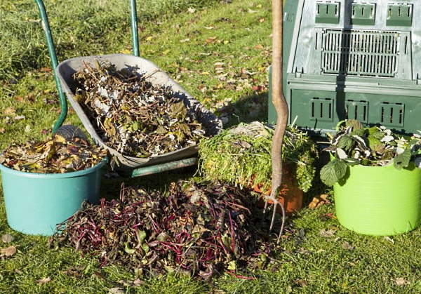 мульчирование осенью