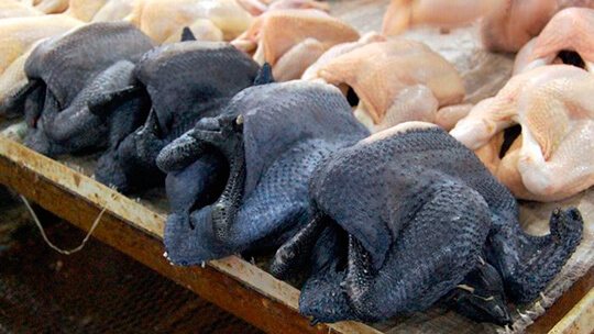 Мясо цесарок на продажу