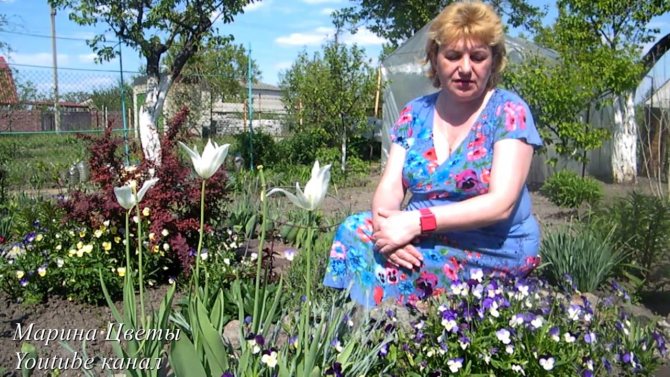 Нажмите, чтобы запустить видео