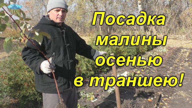 Нажмите, чтобы запустить видео