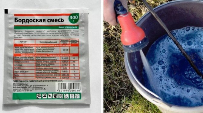 Обработка малины