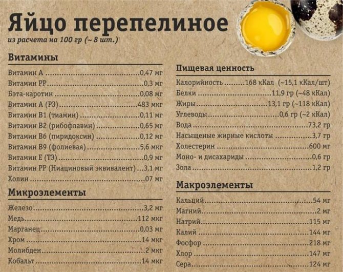 Пищевая ценность перепелиного яйца